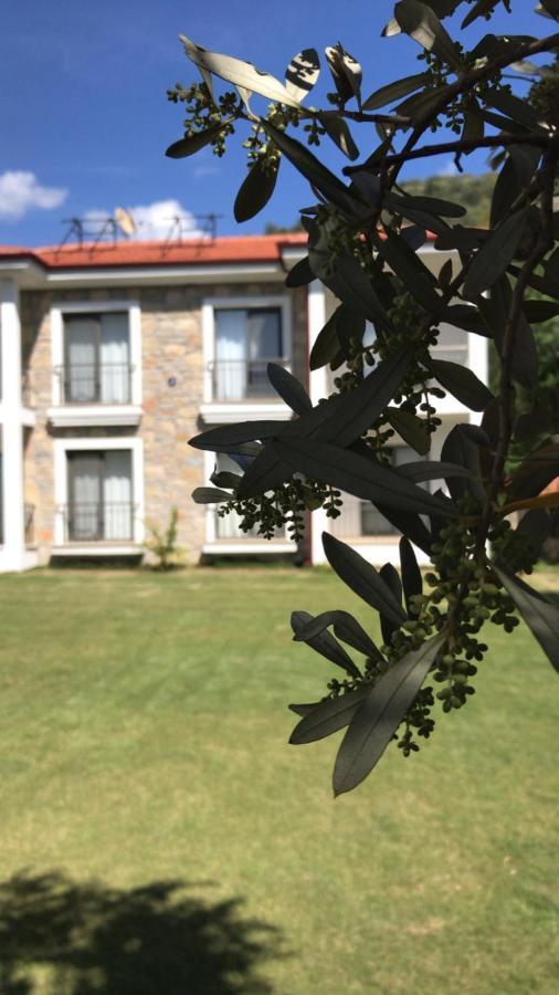 Oliva Casa Apart Hotel Датча Екстериор снимка